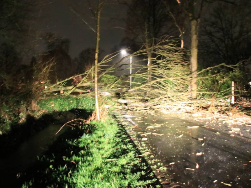 Afgebroken boom verspert weg