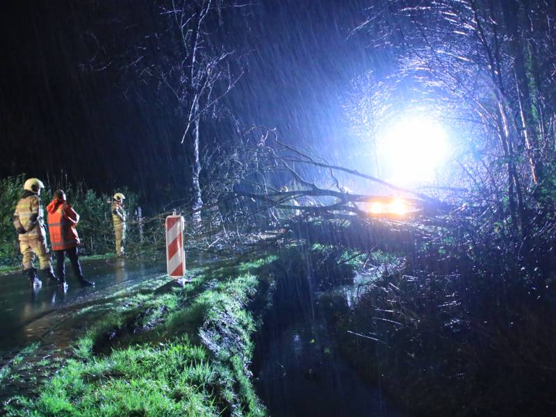 Afgebroken boom verspert weg