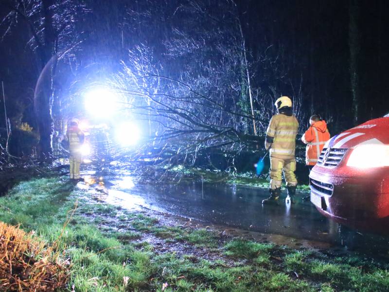 Afgebroken boom verspert weg