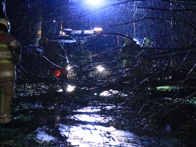 Afgebroken boom verspert weg