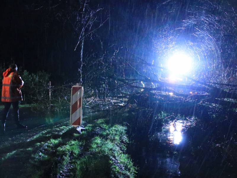 Afgebroken boom verspert weg