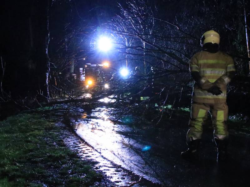 Afgebroken boom verspert weg