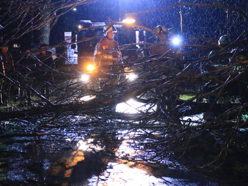 Afgebroken boom verspert weg