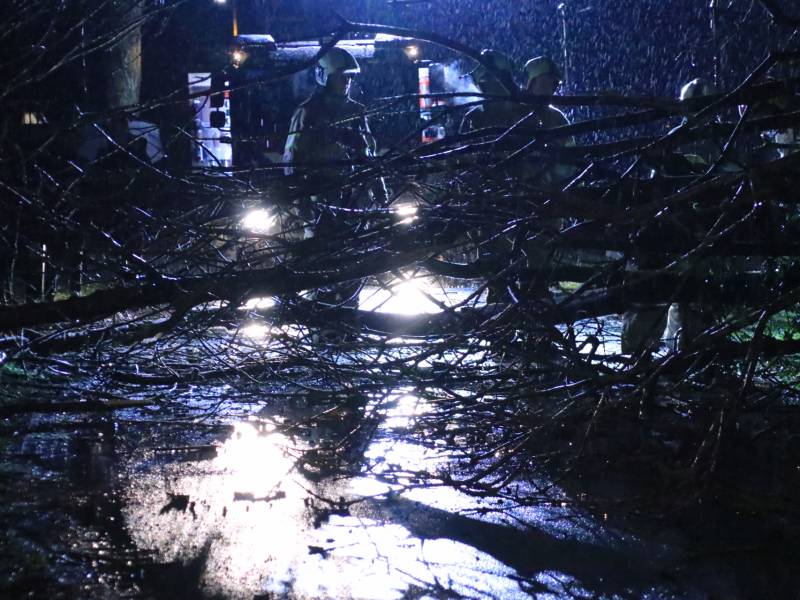 Afgebroken boom verspert weg