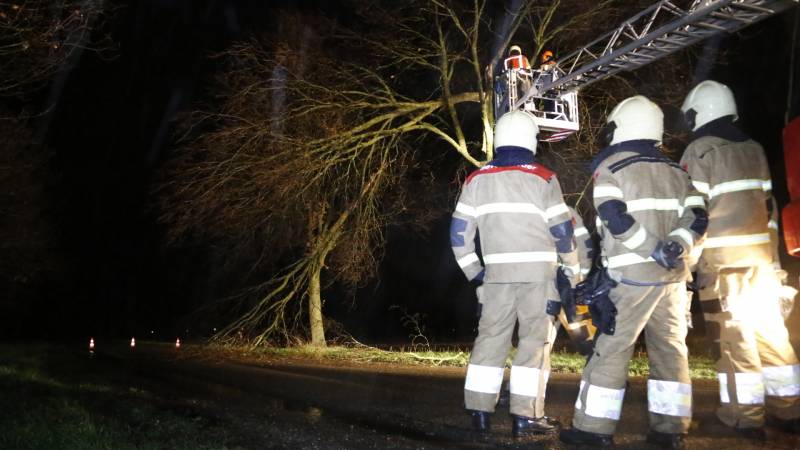 Meerdere takken gebroken