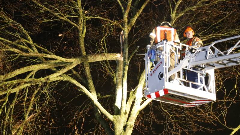 Meerdere takken gebroken