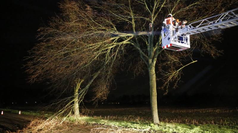 Meerdere takken gebroken