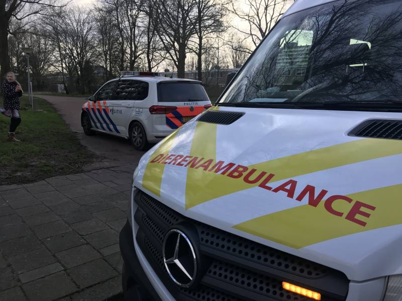 Kinderen vangen samen met politie ontsnapte hond
