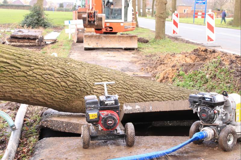 Boom gekanteld na waterleidingbreuk