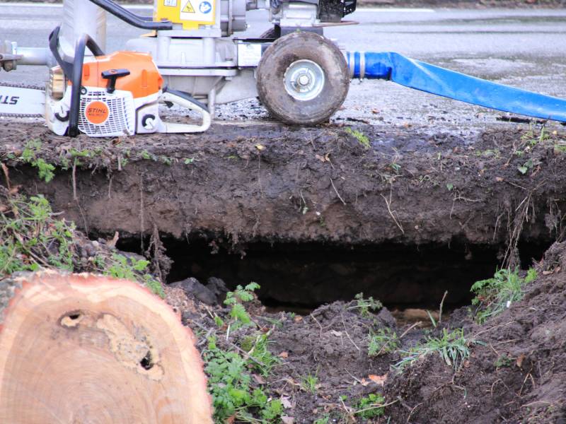 Boom gekanteld na waterleidingbreuk