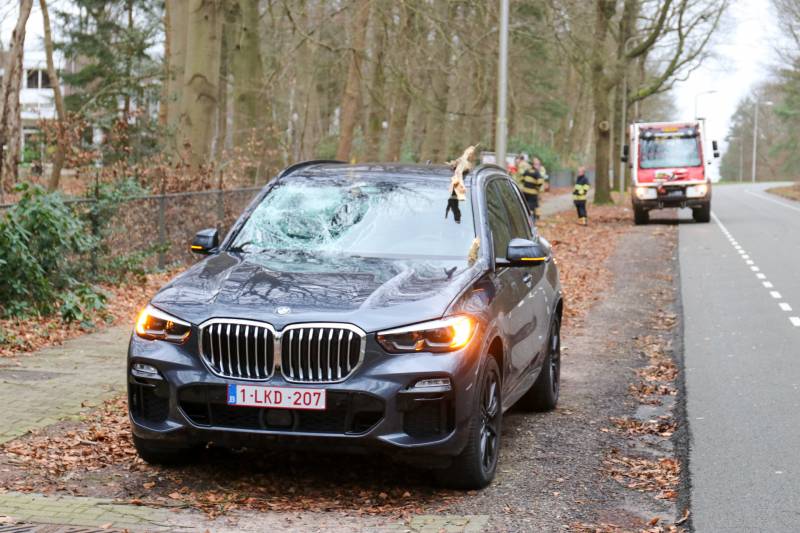 Peperdure BMW fors beschadigd door omgevallen boom