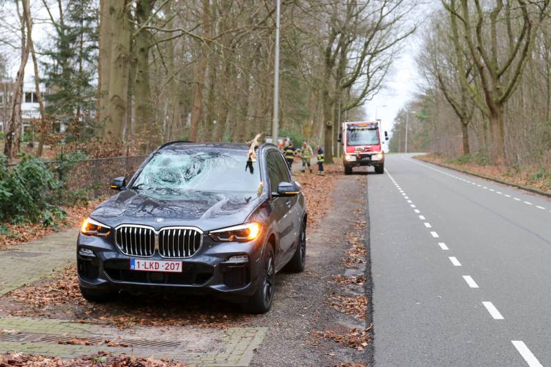 Peperdure BMW fors beschadigd door omgevallen boom