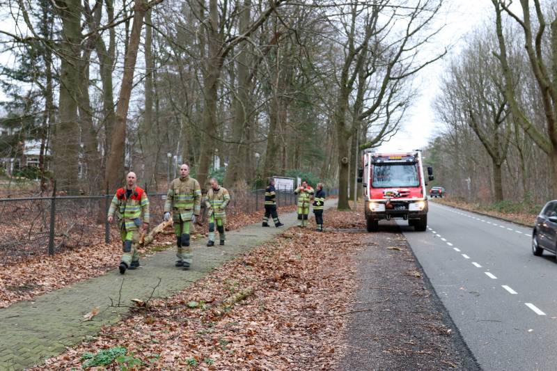 Peperdure BMW fors beschadigd door omgevallen boom