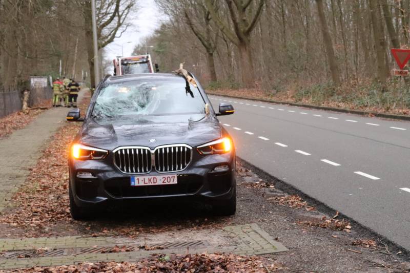 Peperdure BMW fors beschadigd door omgevallen boom