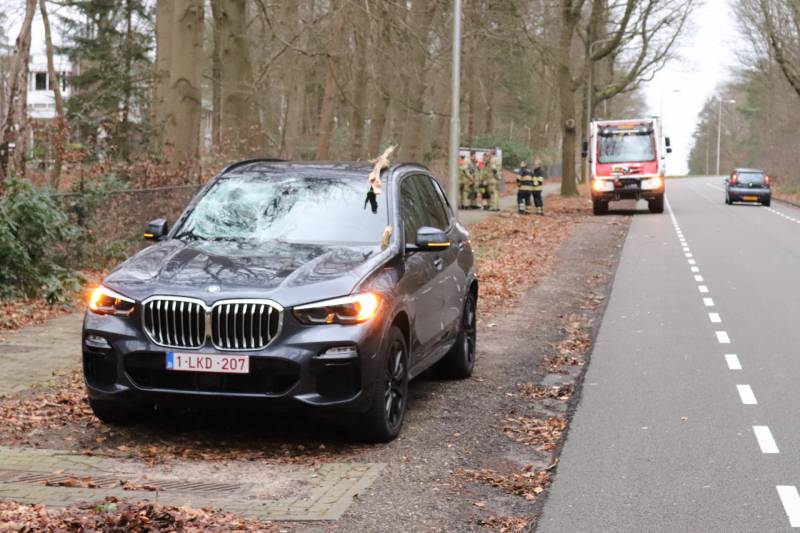 Peperdure BMW fors beschadigd door omgevallen boom
