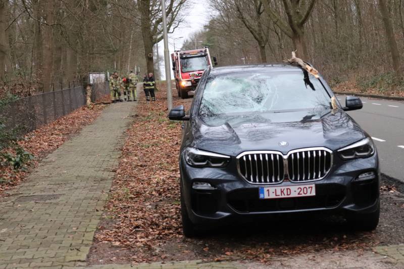 Peperdure BMW fors beschadigd door omgevallen boom