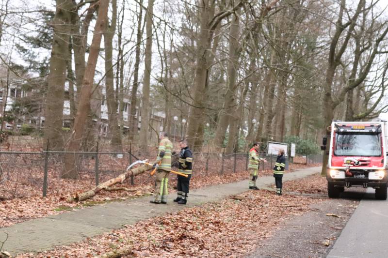 Peperdure BMW fors beschadigd door omgevallen boom
