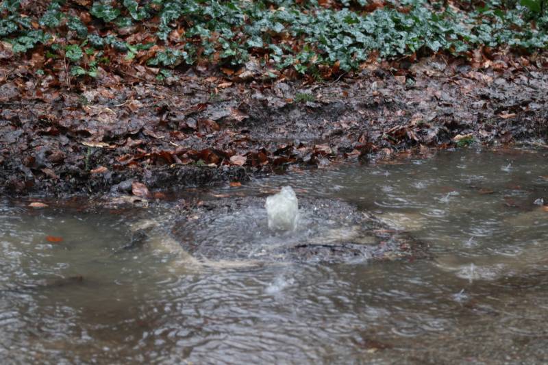 Straat blank na waterleidingbreuk