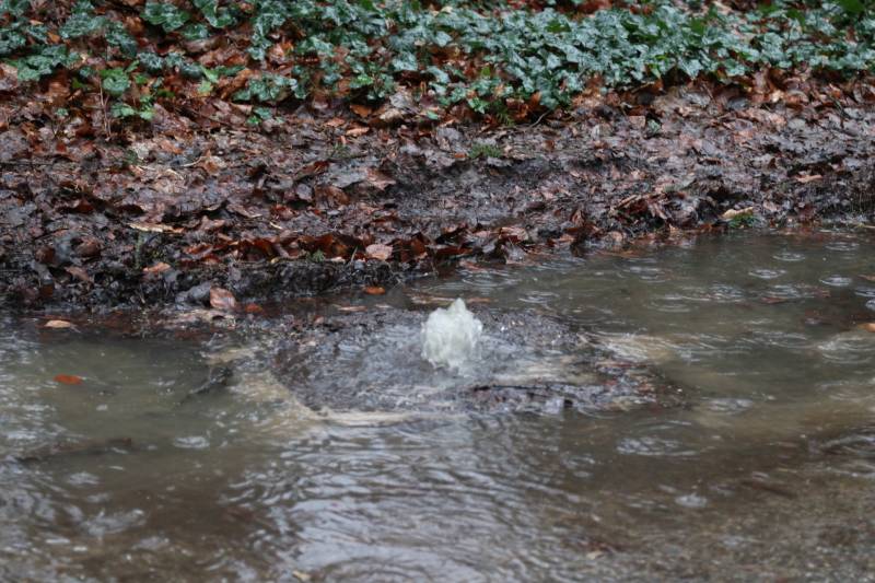Straat blank na waterleidingbreuk