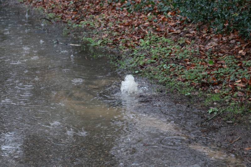 Straat blank na waterleidingbreuk