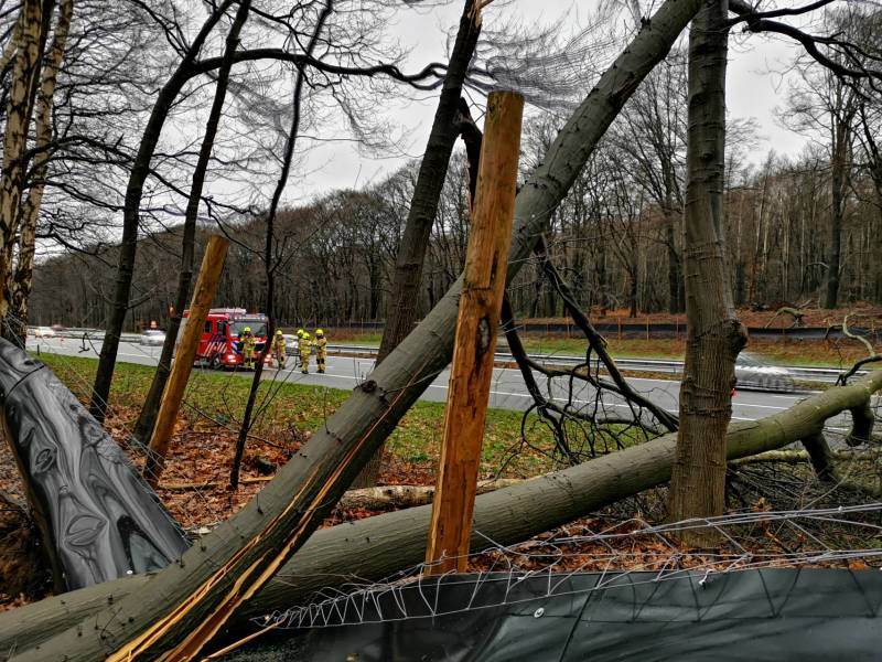 Bomen naast snelweg omgevallen door storm