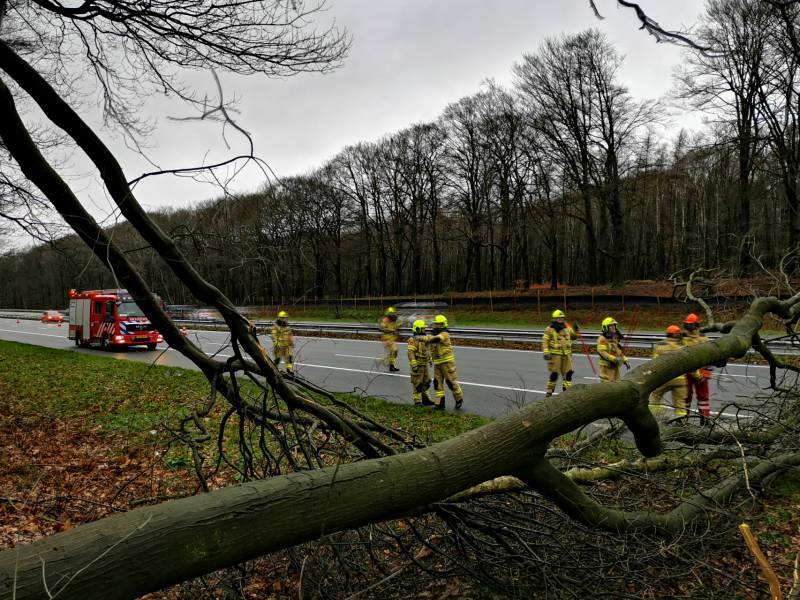 Bomen naast snelweg omgevallen door storm