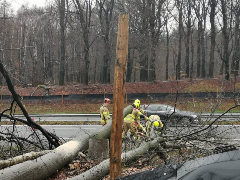 Bomen naast snelweg omgevallen door storm