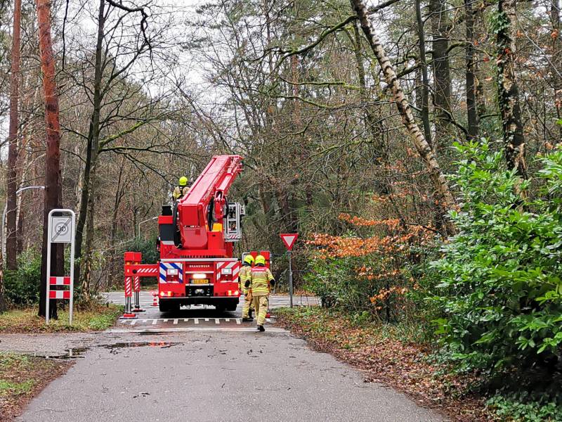 Brandweer verwijderd scheefstaande boom