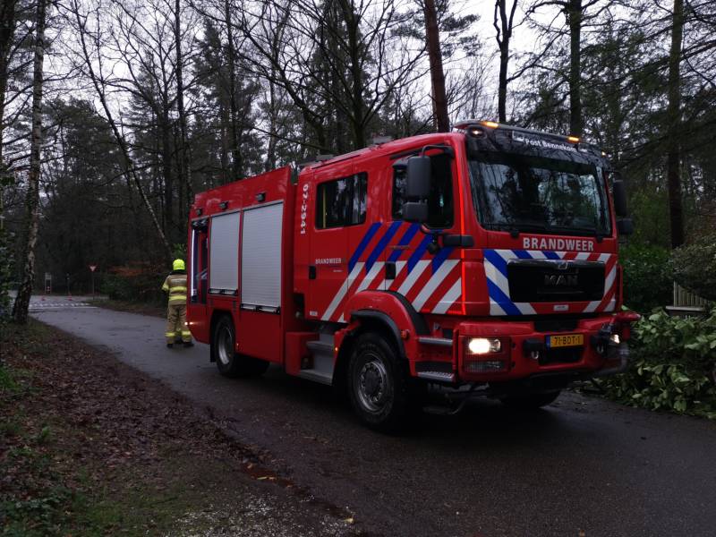 Brandweer verwijderd scheefstaande boom