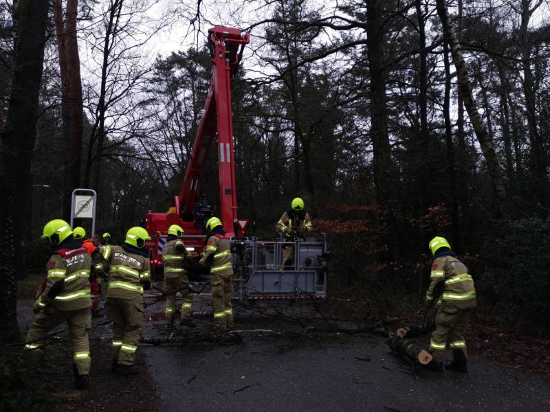 Brandweer verwijderd scheefstaande boom