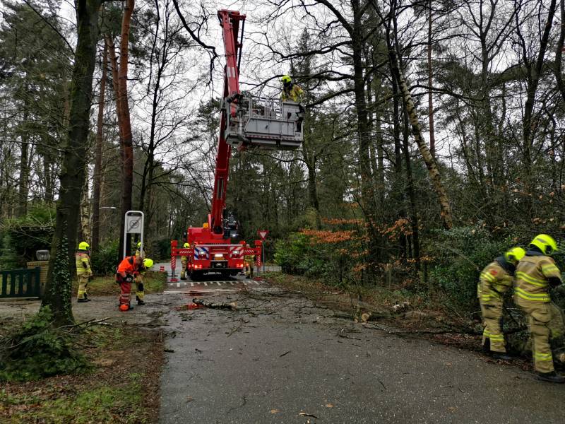 Brandweer verwijderd scheefstaande boom