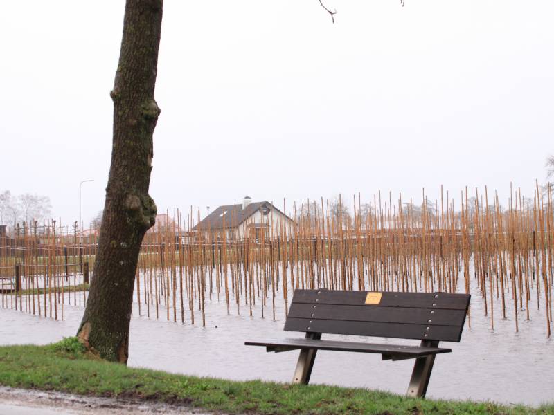 Weiland en fietspad volgelopen na fikse regenbui