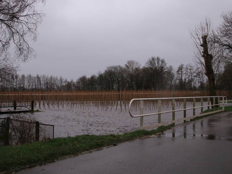 Weiland en fietspad volgelopen na fikse regenbui