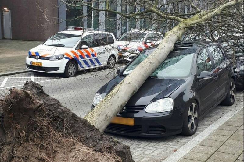 Boom valt op geparkeerde auto's naast politiebureau