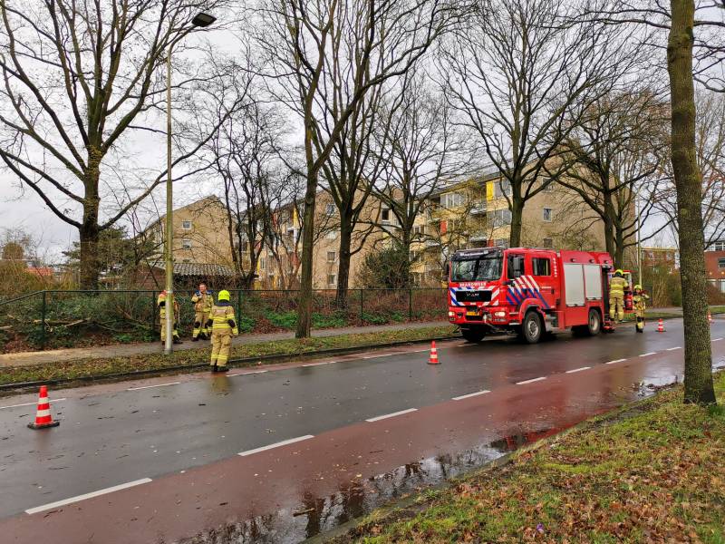Boom valt om over rijbaan