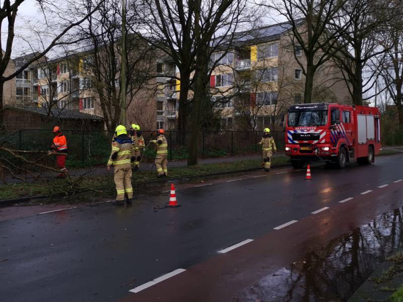 Boom valt om over rijbaan