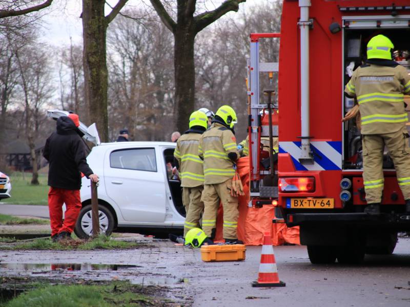 Bestuurder omgekomen na frontale botsing tegen boom