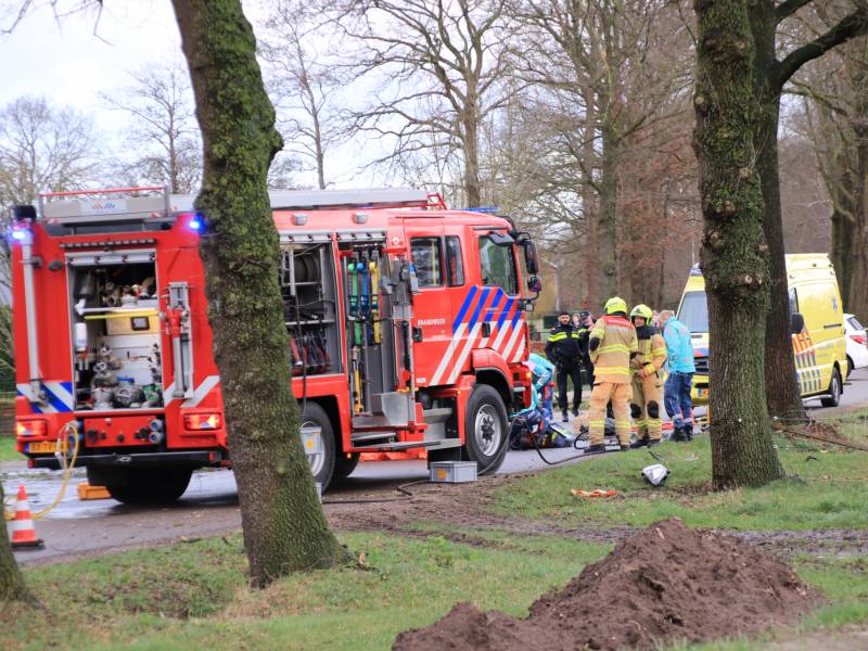 Bestuurder omgekomen na frontale botsing tegen boom
