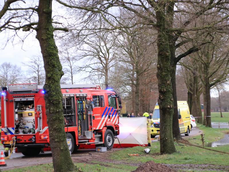 Bestuurder omgekomen na frontale botsing tegen boom