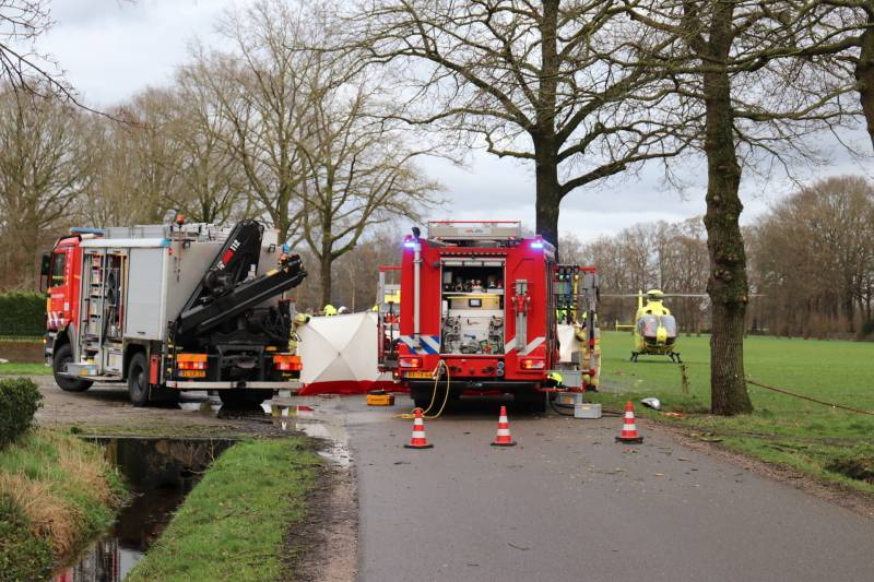 Bestuurder omgekomen na frontale botsing tegen boom