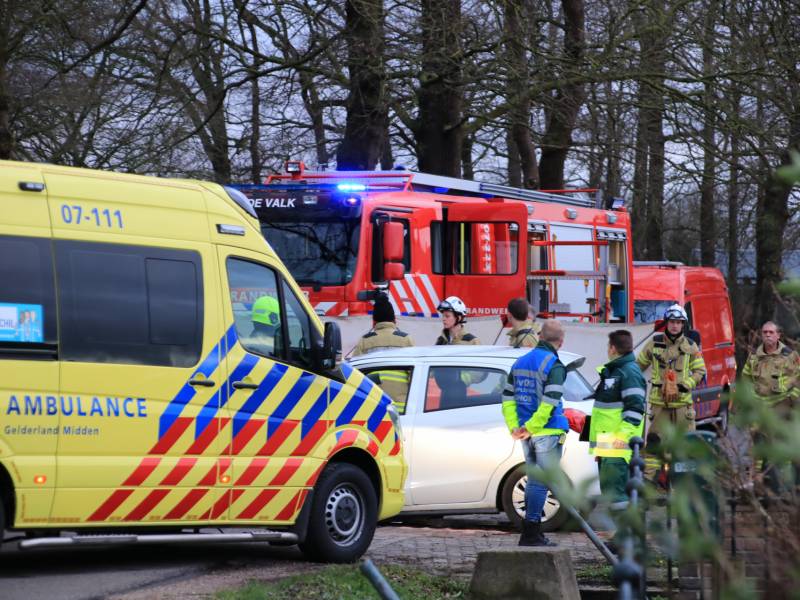 Bestuurder omgekomen na frontale botsing tegen boom