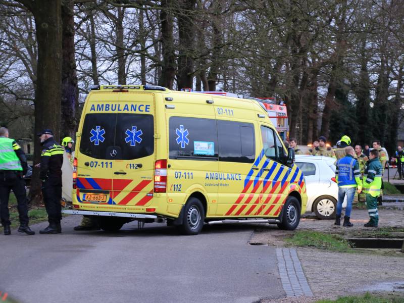 Bestuurder omgekomen na frontale botsing tegen boom