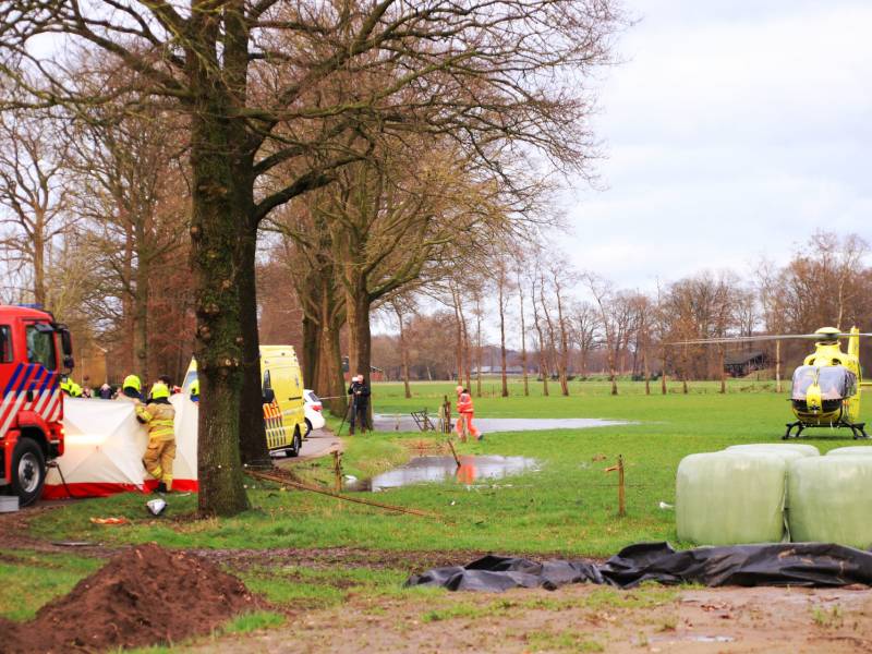 Bestuurder omgekomen na frontale botsing tegen boom