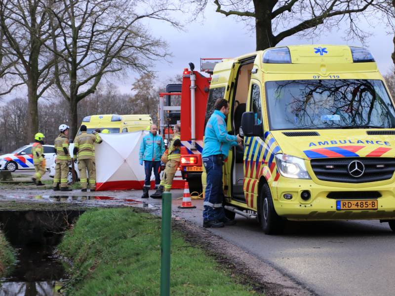 Bestuurder omgekomen na frontale botsing tegen boom