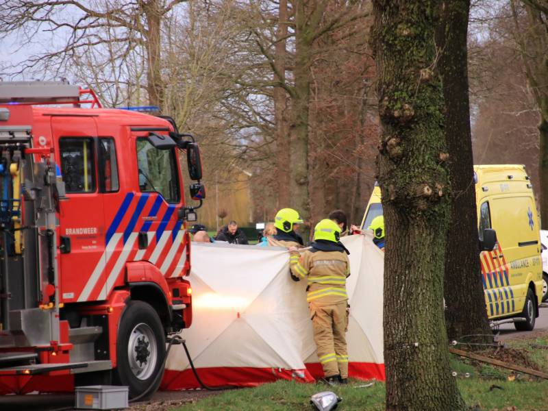 Bestuurder omgekomen na frontale botsing tegen boom
