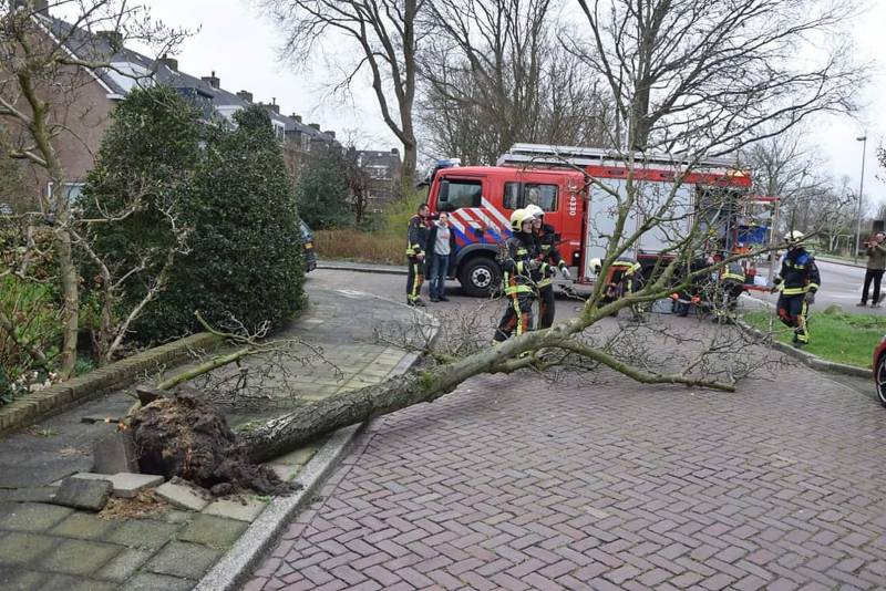 Omgewaaide boom verspert doorgaande weg