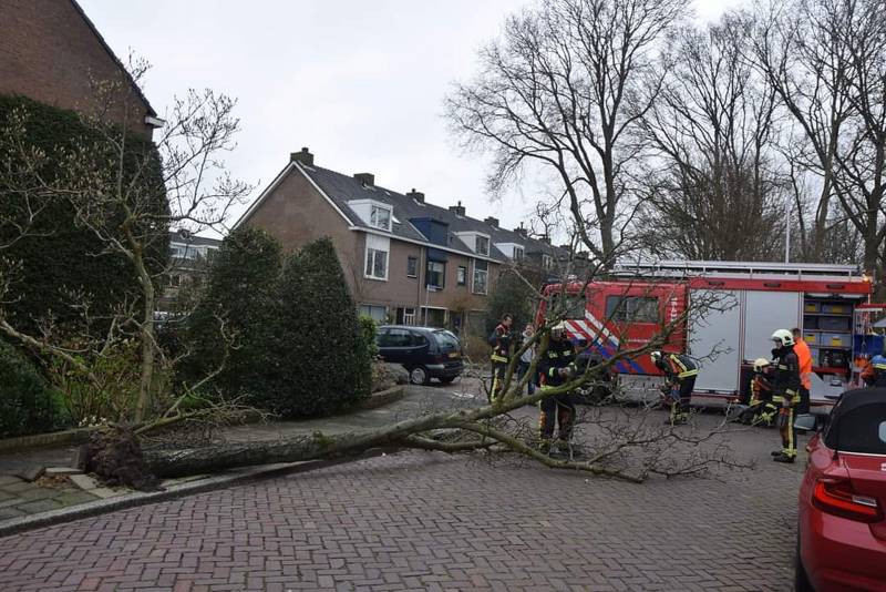 Omgewaaide boom verspert doorgaande weg