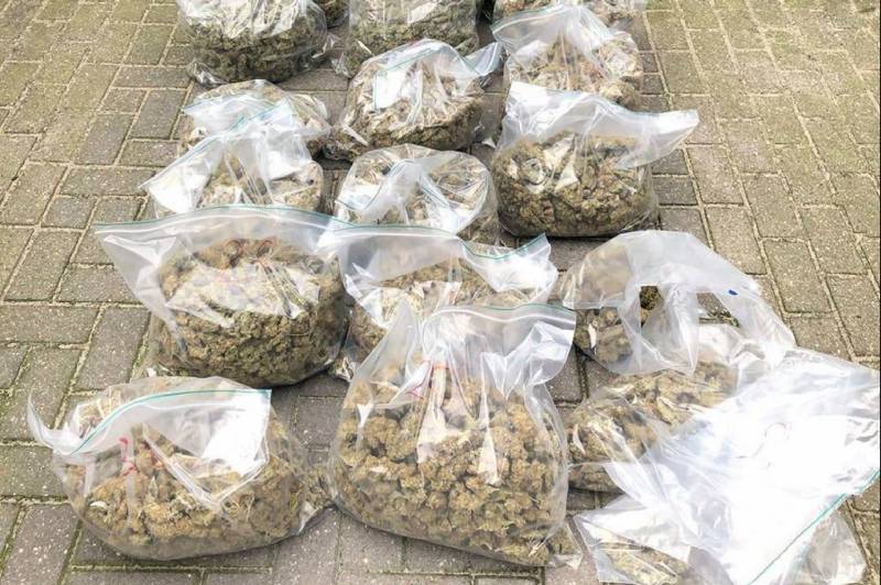 Een ton aan henneptoppen aangetroffen in woning