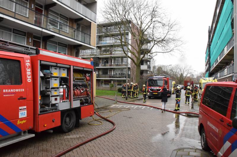 Brand in flatwoning