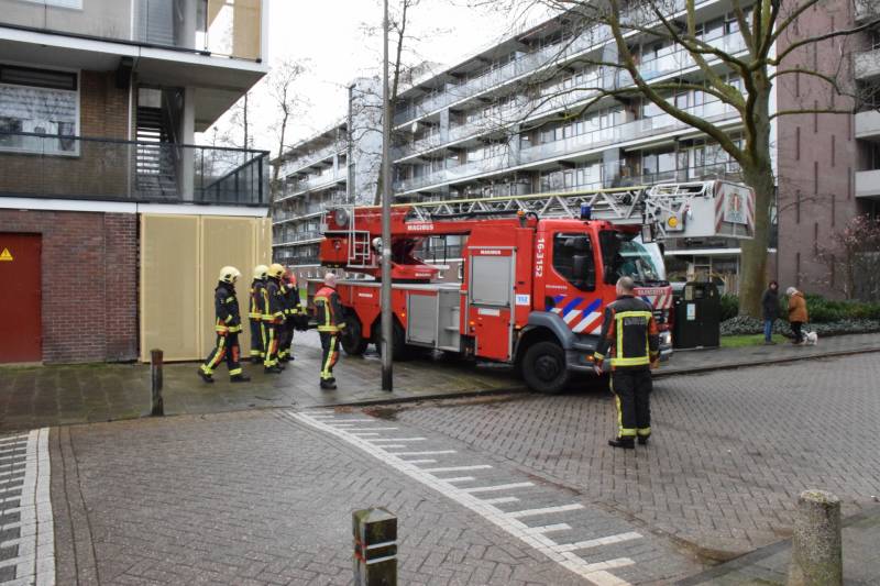 Brand in flatwoning
